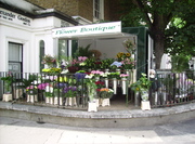 The Flower Boutique London