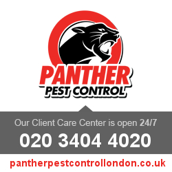 Panther Pest Control London London