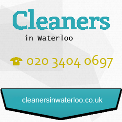 Fantastic Services Waterloo London