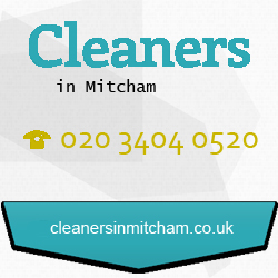 Fantastic Services Mitcham London