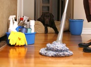 Cleaning Company Barnes London