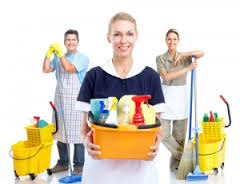 Cleaners Mole Valley London