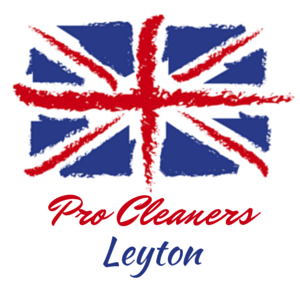 Pro Cleaners Leyton London