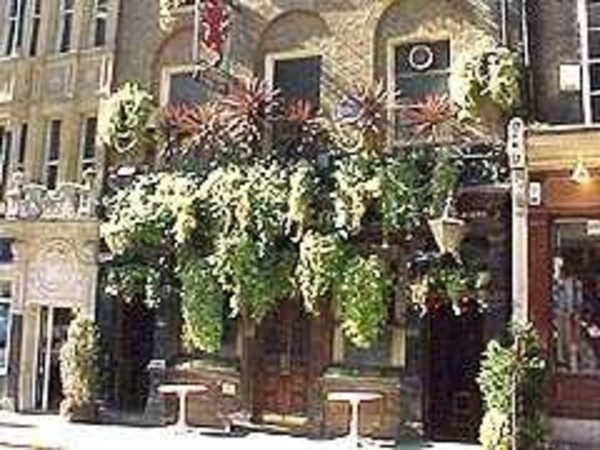 The Red Lion London