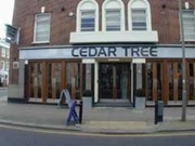 The Cedar Tree London